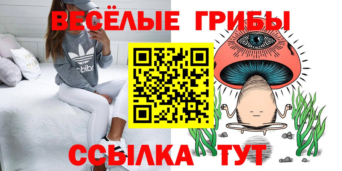 Галлюциногенные грибы прущие грибы  Вход с VPN  Балаково  Галлюциногенные грибы ЛСД 